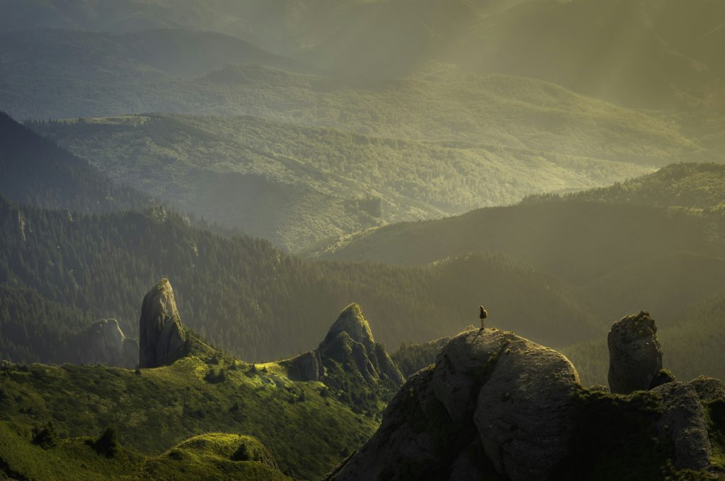Revolutionizing the Way We Travel: The Power of Online Travel Agencies